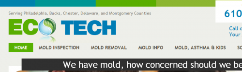 Philly Mold Solutions Philly Mold Solutions