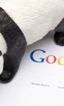 google-panda